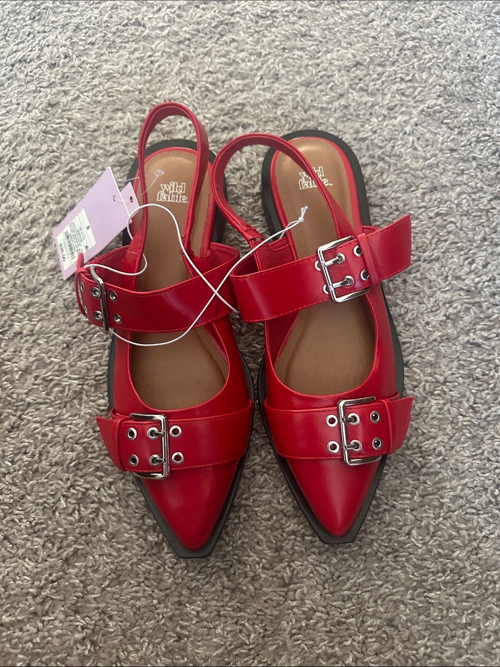 wild fable Red Pointed Buckle Slingback Flats
